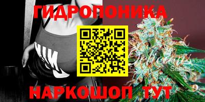 хмурый Ликино-Дулёво