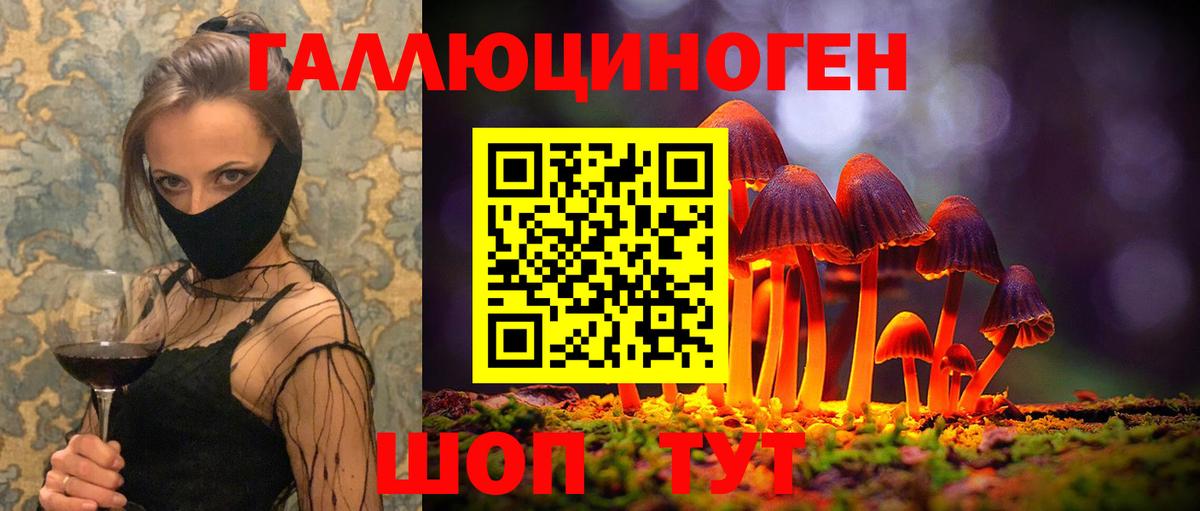 Галлюциногенные грибы Psilocybine cubensis  Вход с VPN  Бирск 